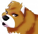 Bruce Headshot