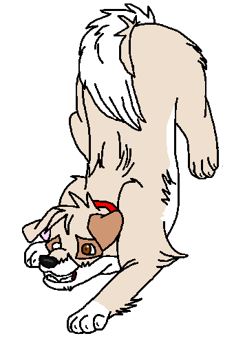 New Character