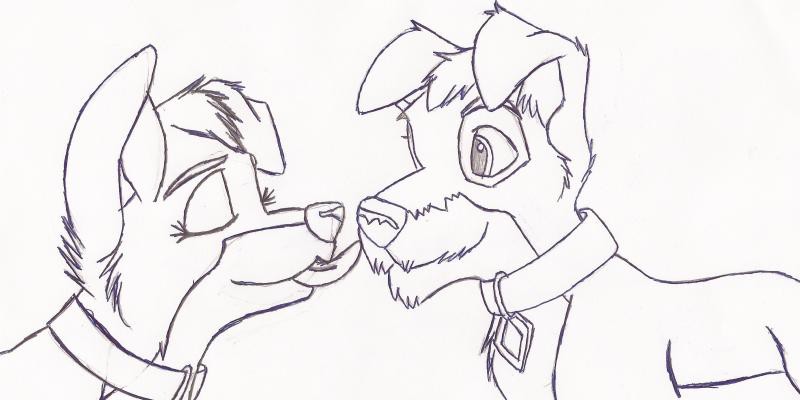 Kiss for Scamp Sketch