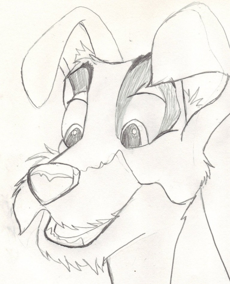 Tramp Doodle