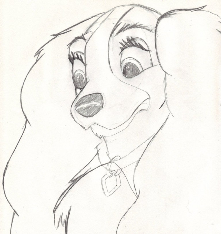 Lady Doodle