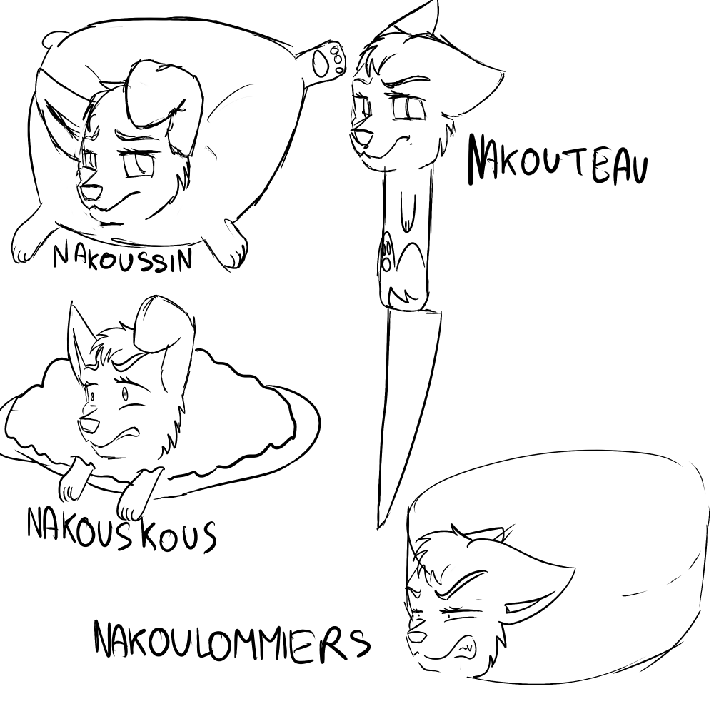Nakou mutifonctions