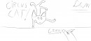 The circus cat and dog chief
