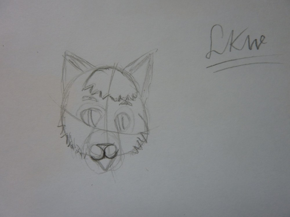 Cat sketch