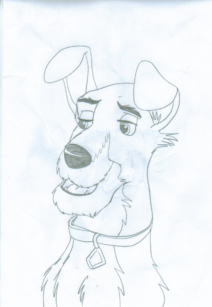 Tramp paper drawing!