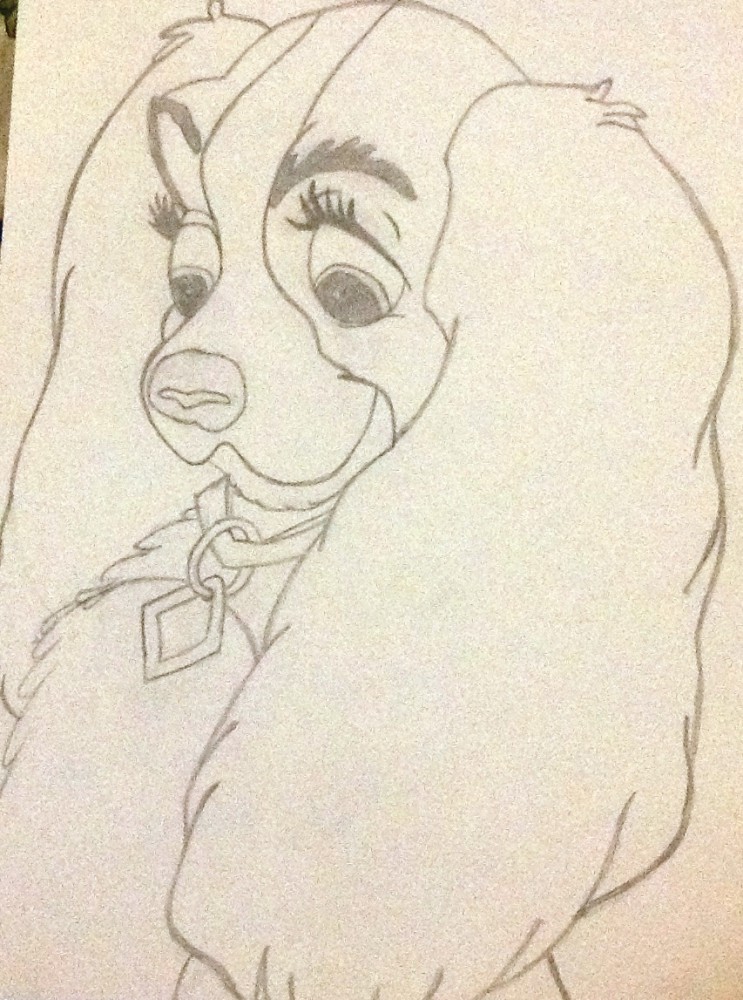 Lady