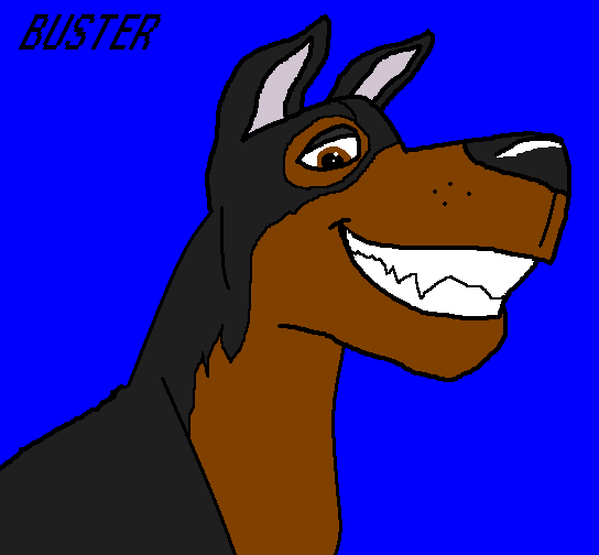                              Buster 