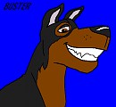                              Buster 