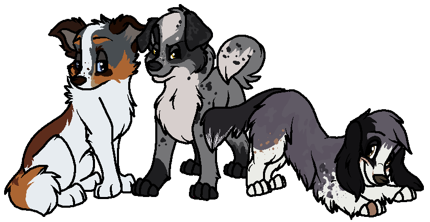 Buster's new girls