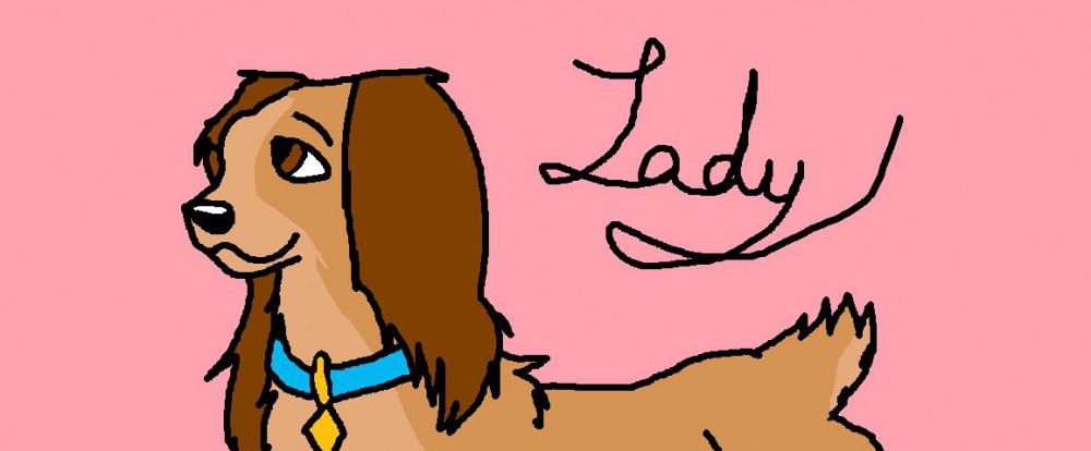 Lady