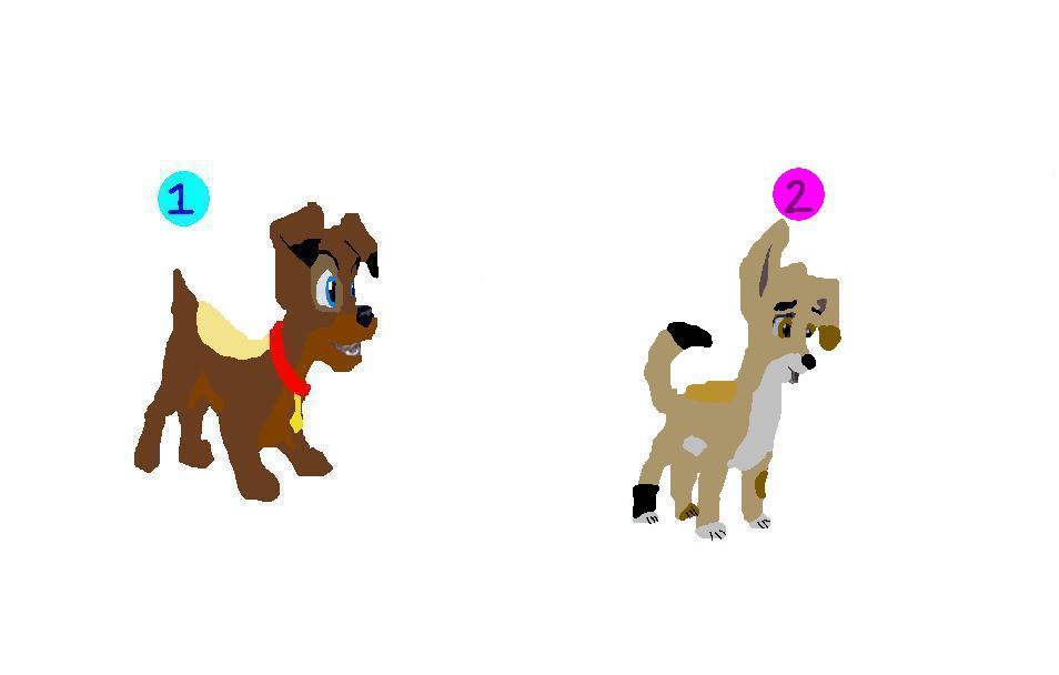 Adoptables!