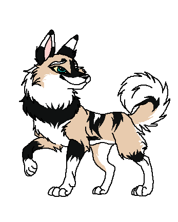 Nita