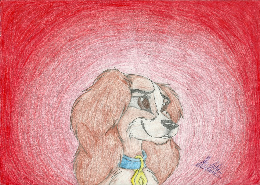 Lady