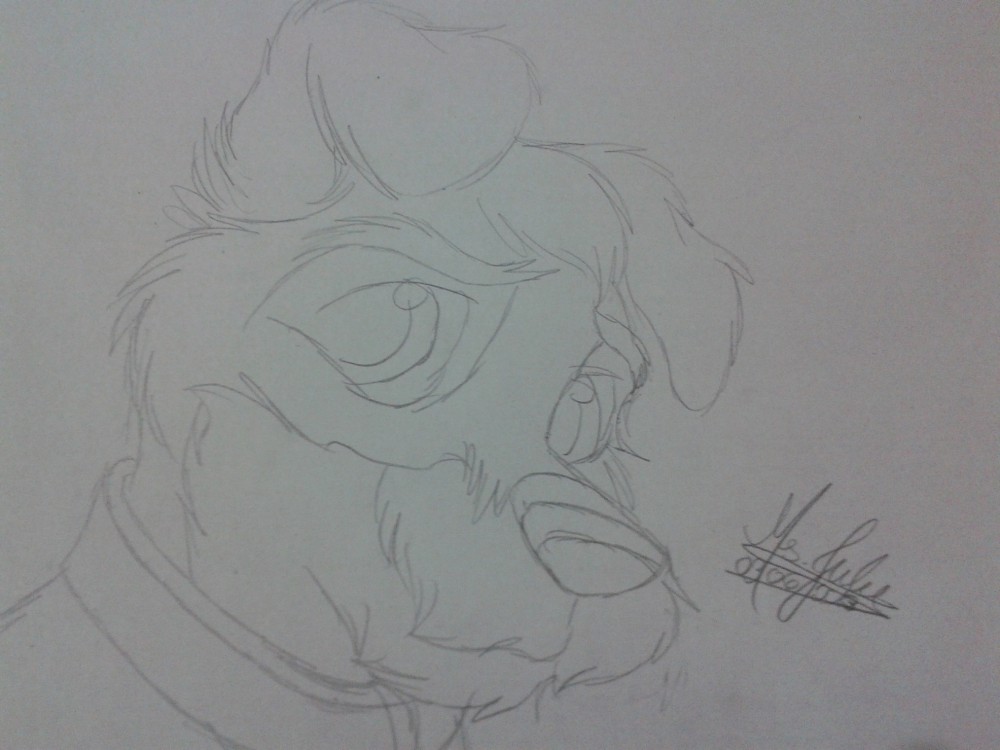 Scamp