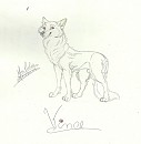 1st draft of Vinicius