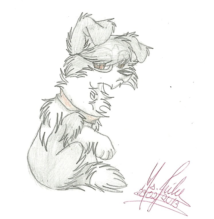 New character: Alan