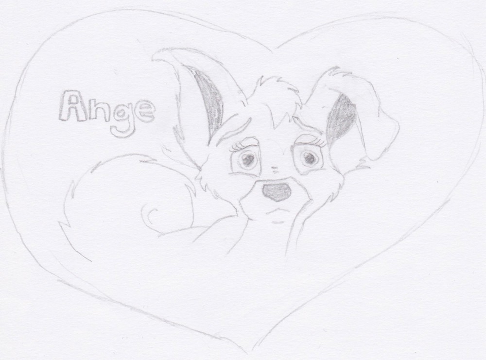Ange ♥
