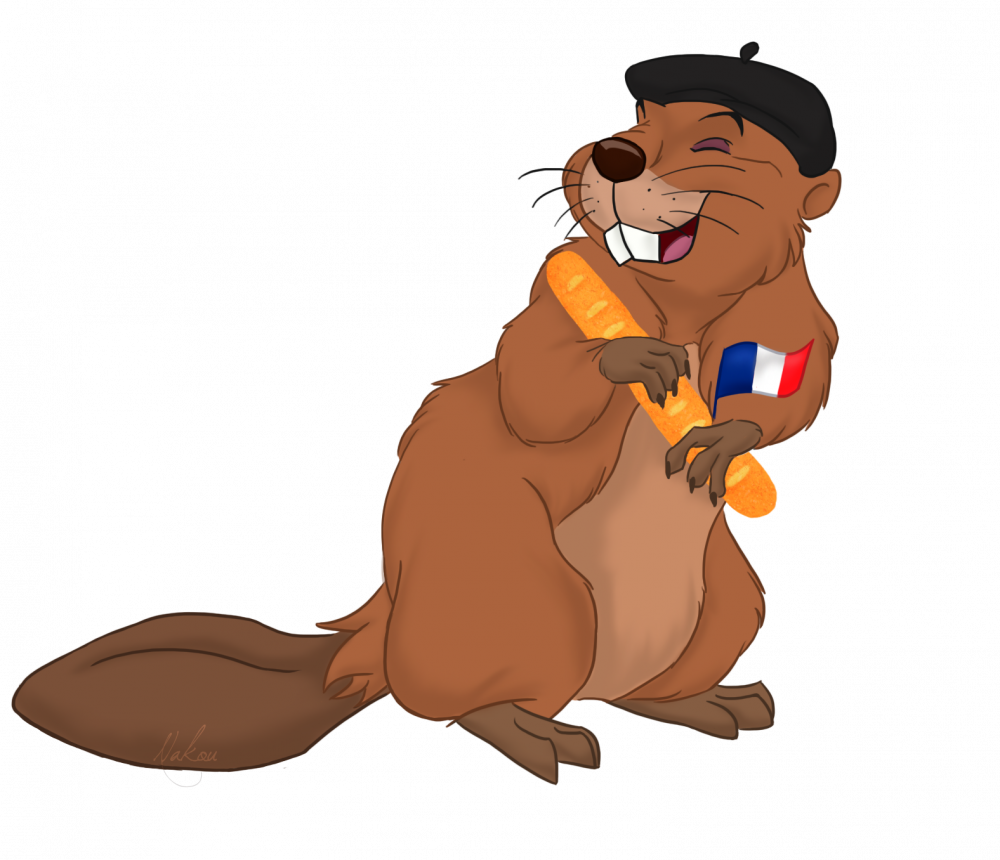 Le castor frenchy