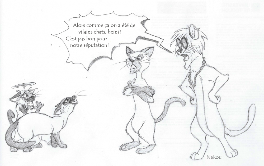 De bien vilains chats!