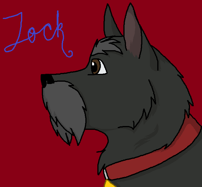 First drawing JOCK
