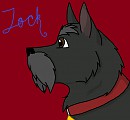 First drawing JOCK