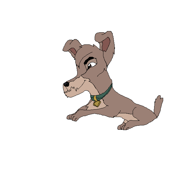 Scamp
