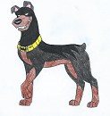 Caïd is the Bat-Dog