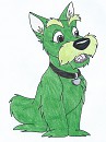 Jock is Tail Terrier