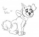 Ange - Pour Nakou