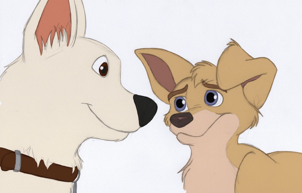 Cadeau pour Barrow et Nakou
