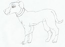 Bessie