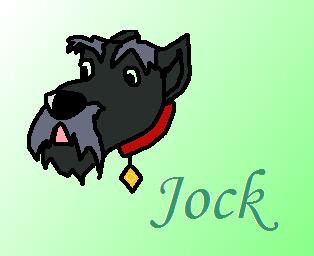 Jock Avatar