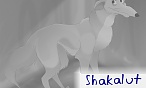 Shakalut