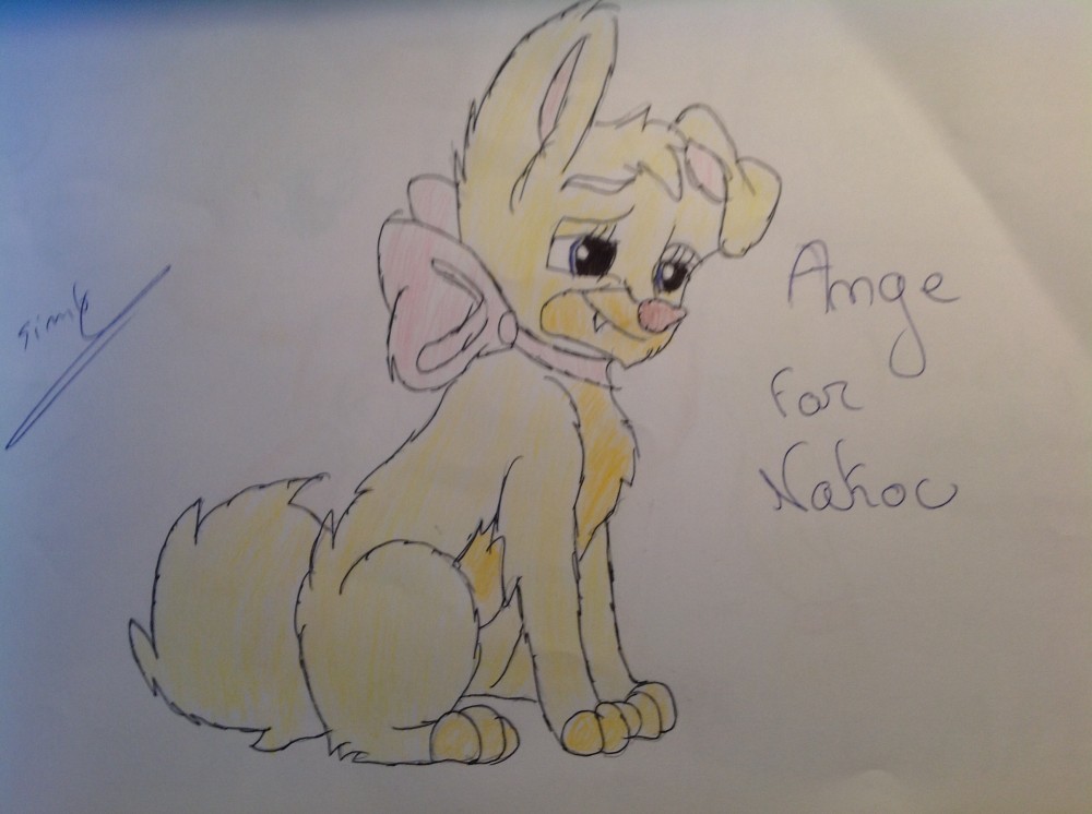 Ange for Nakou - JOYEUX ANNIVERSAIRE  !
