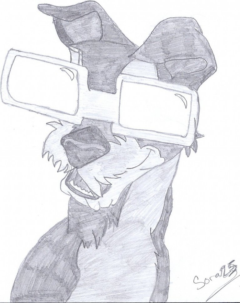 Le 3D du clochard 