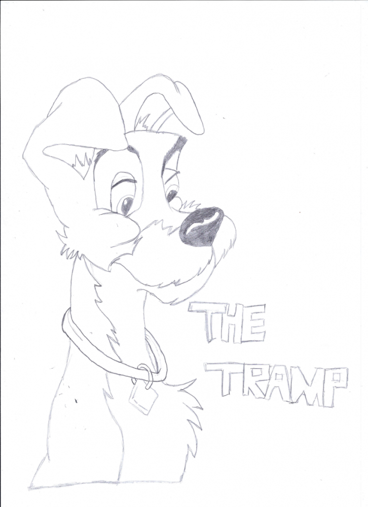 The tramp