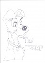 The tramp