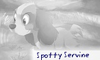 Spotty Servine
