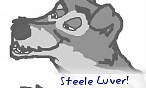 Shantrai the WolfDog