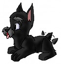 Jock Puppeh
