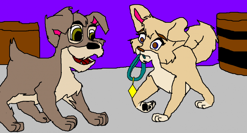 i am a junkyard dog!