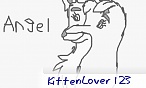 KittenLover 123