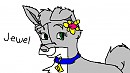 Jewel: Gift For Punk_Head