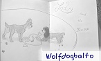 wolfdogbalto