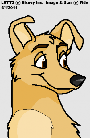 Detail Star (FidoPaws)