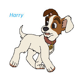 Detail Harry