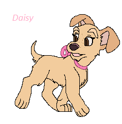 Detail Daisy