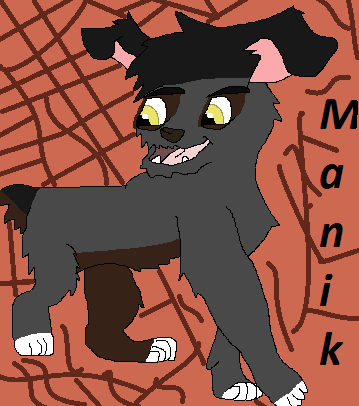 Detail Manik