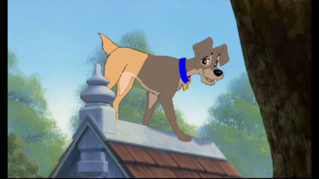 Detail Dingo