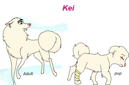 Detail kei
